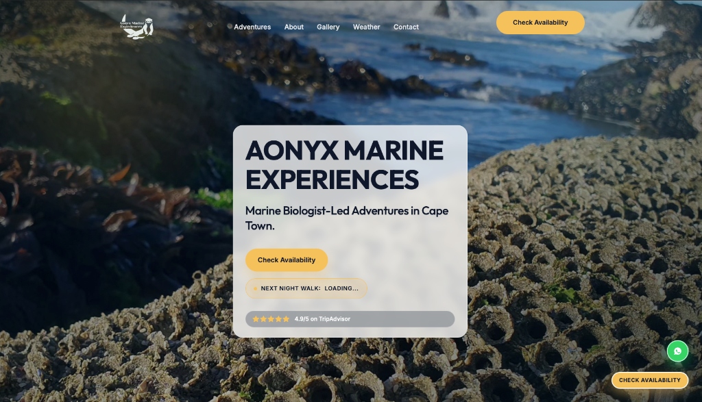 Aonyx Marine web design services Cape Town background